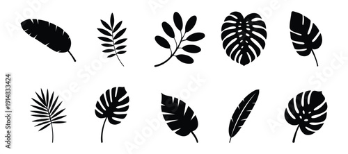 Minimal tropical leaf silhouette icon set. Clean black botanical shapes isolated on transparent background, perfect for logo, decoration, branding, and nature themed design.