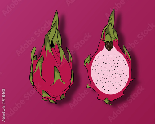 Dragon Fruit Image Vector Image 

