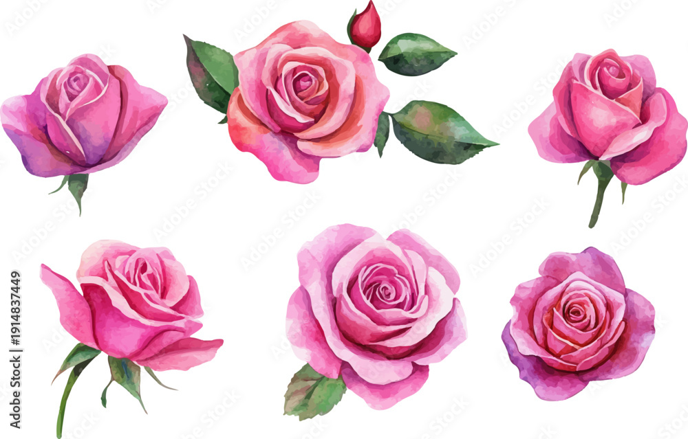 Fototapeta premium set of pink roses