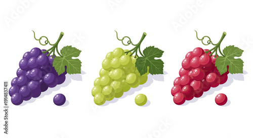 Three vibrant bunches of grapes in purple, green, and red hues.