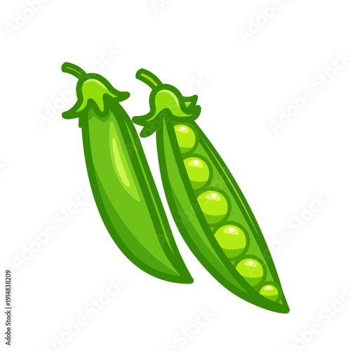 Green pea pods, one closed and one opened, isolated on white background. Flat vector illustration.