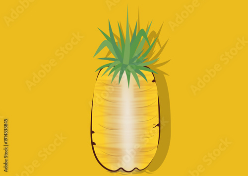 Pineapple Vector Image 
