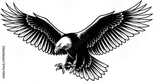 Bald eagle illustration, flying raptor artwork, wildlife vector design, majestic bird symbol, black and white art, freedom emblem, detailed feather drawing