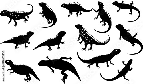 Collection of lizards in various poses and sizes displayed on a white background with dark outlines and clear shapes showcasing their unique features