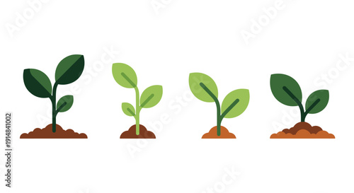 Plant Growth Line color outline design soft dynamic tone illustration