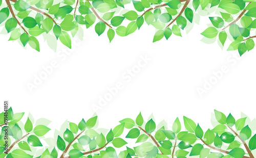 新緑のフレーム5_横