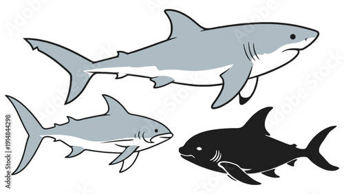 Shark vector illustration of three different colored cartoon sharks swimming