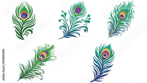 Vibrant peacock feathers showcase intricate patterns and iridescent colors, evoking elegance and beauty.