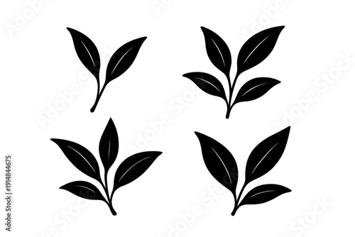 Black tea leaves silhouette vector set on transparent background