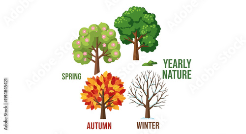 Four Seasons Tree Cycle: Spring, Summer, Autumn, Winter