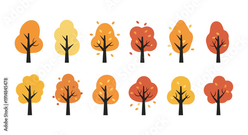 Autumn Trees Collection: Colorful Fall Foliage Illustrations