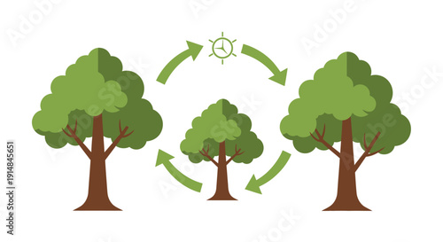 Tree Growth Cycle: Seedling to Mature Tree with Arrows and Clock Icon