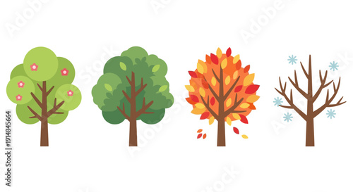 Four Seasons Tree Illustration: Spring, Summer, Autumn, Winter