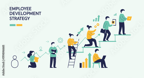 Employee Development Strategy with Staged Growth and Team Learning
