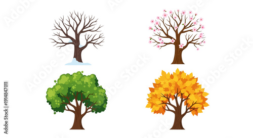 Four Seasons Tree: Winter, Spring, Summer, Autumn - Cycle of Nature