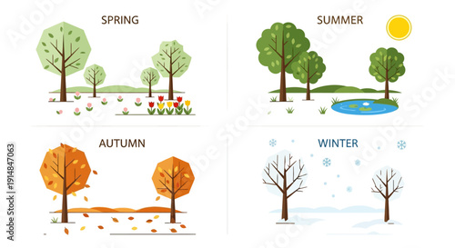 Four Seasons of Nature: Spring, Summer, Autumn, Winter - Tree Life Cycle