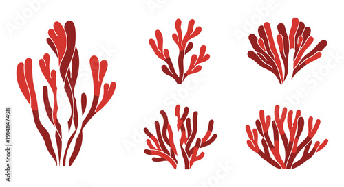 Red Algae Line art clean modern creative illustration
