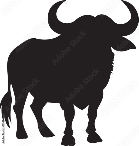 vector illustration of a bull 