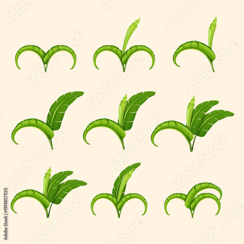 illustration of lush green banana leaves