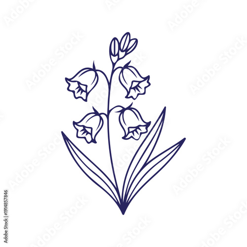 A delicate illustration captures the beauty of a single bluebell plant, showcasing its elegant bell-shaped blossoms and graceful leaves, a symbol of springtime charm.