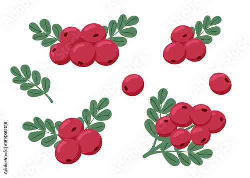 Set of cranberries isolated on white background. Vector flat cliparts.	
