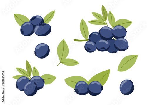 Set of blueberries isolated on white background. Vector flat cliparts.