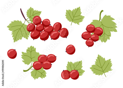 Set of red currant isolated on white background. Vector flat cliparts.
