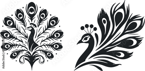 Black and White Ornamental Peacock Vector Illustration