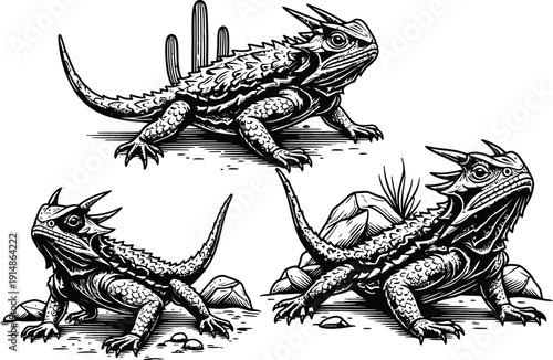 Horned lizard toad Vector Illustration