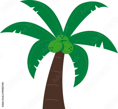 Hand Drawn Coconut Illustration