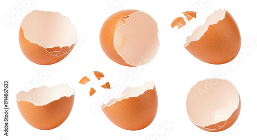 Six halved brown eggshells and small shell fragments arranged on a transparent background, isolated studio shot showing interiors and jagged edges