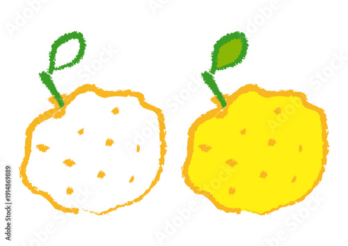 ゆずのイラスト 白背景｜柚子、食べ物、果物、ポップ