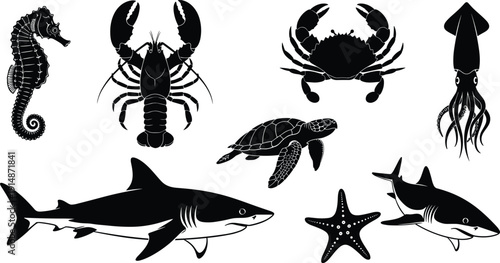 Marine animal silhouette collection featuring shark turtle squid crab lobster seahorse starfish ocean wildlife icons isolated vector illustration black white design set
