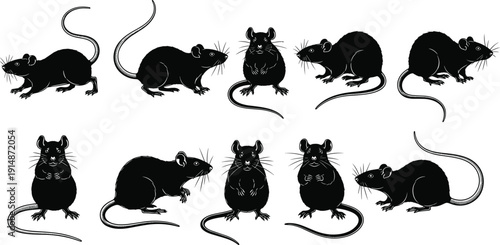 Mouse and rat silhouette set showing rodents in multiple poses, wild pest animals collection, black vector illustration for biology education design icons