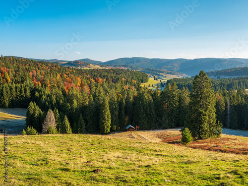 Typische Landschaft im Schwarzwald, Ausblick über Wiesen und Wälder im Herbst, Baden-Württemberg, Deutschland