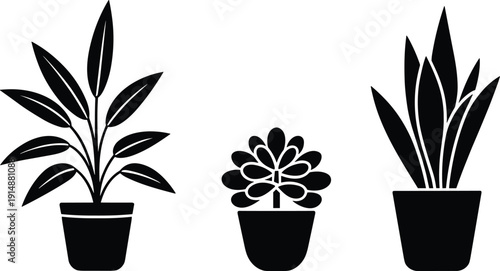 Indoor potted plant silhouettes collection with leafy houseplants and decorative flower pot, black botanical icons isolated on white background