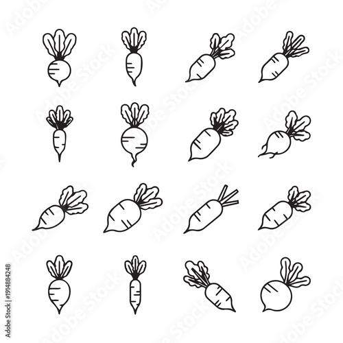 Hand Drawn Radish Icons Collection - Simple Vegetable Illustrations