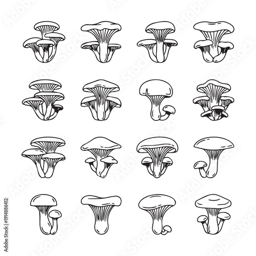 Mushroom Variety Collection Hand Drawn Line Art Illustrations