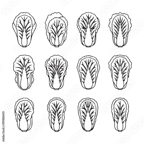 Napa Cabbage Halves Collection Outline Vector Illustration