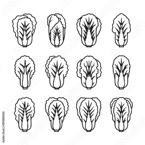 Napa Cabbage Icons Set, Outline Vector Illustrations of Fresh Vegetables