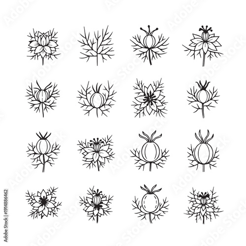 Nigella Sativa Flower Icons Black and White Line Art Set