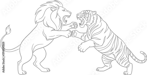 Fierce outline drawing depicts a powerful confrontation between a male lion and a striped tiger standing aggressively on hind legs engaged in battle.