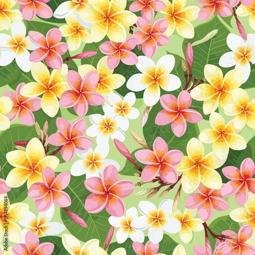 Colorful Plumeria Flowers Pattern
