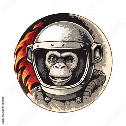 una scimmia astronauta 05