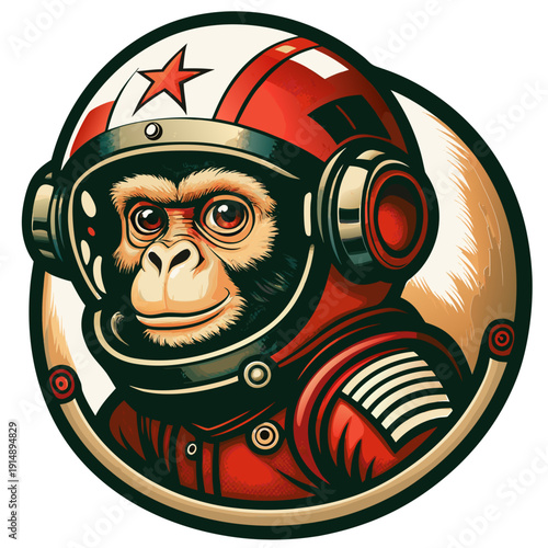 una scimmia astronauta 01