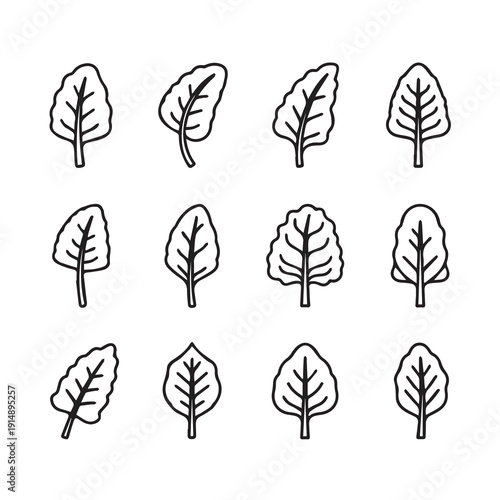 Spinach Leaves Icon Set Outline Collection Vector Illustration