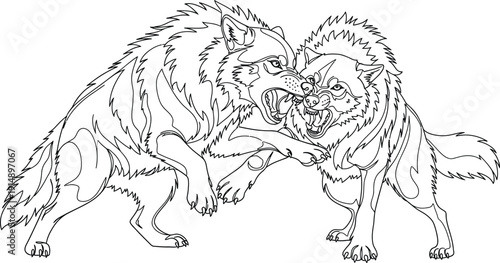 Fierce black and white line art illustration depicts two stylized wolves engaged in an aggressive territorial battle showing teeth and raised fur.