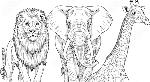 Detailed black and white line art illustration showcasing a proud lion facing forward next to an elephant and a giraffe