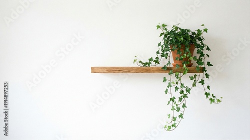 A lush green ivy plant in a terra cotta pot sits on a simple wooden shelf against a plain white wall