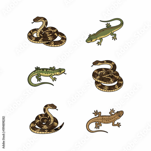 Snakes and Lizards Set